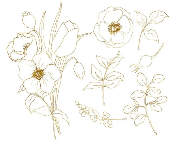 Vector dorado bosquejo anémona y tulipán conjunto grande. Flores pintadas a mano, hojas de eucalipto, bayas y ramas aisladas sobre fondo blanco para diseño, estampado o tela . — Vector de stock