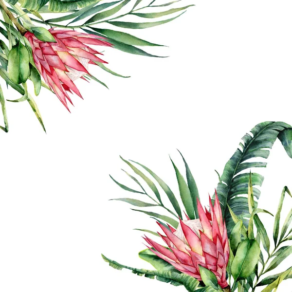 Watercolor tropical flowers card. Hand painted protea and palm leaves isolated on white background. Nature botanical illustration for design, print. Realistic delicate plant.