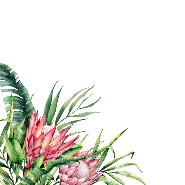 Aquarell tropische Blumen und Blätter Karte. handbemalte Protea und Palmenblätter isoliert auf weißem Hintergrund. Natur botanische Illustration für Design, Druck. realistische zarte Pflanze. — Stockfoto