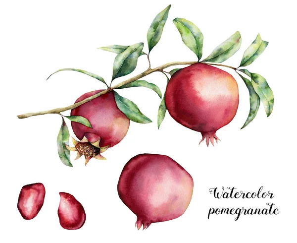 Akvarell gránátalma bogyók készlettel. Kézzel festett gránát gyümölcs ágon, elszigetelt fehér background levelekkel. Virágos elegáns illusztráció tervezése, nyomtatása. — Stock Fotó
