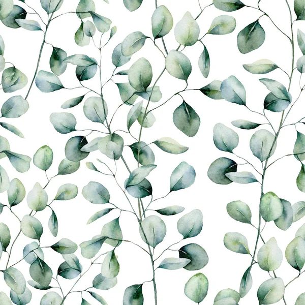 수채화 화 유칼립투스 완벽 한 패턴입니다. 손으로 그린 유 분기와 잎 흰색 배경에 고립. 꽃 일러스트 디자인, 인쇄, 직물 또는 배경. — 스톡 사진