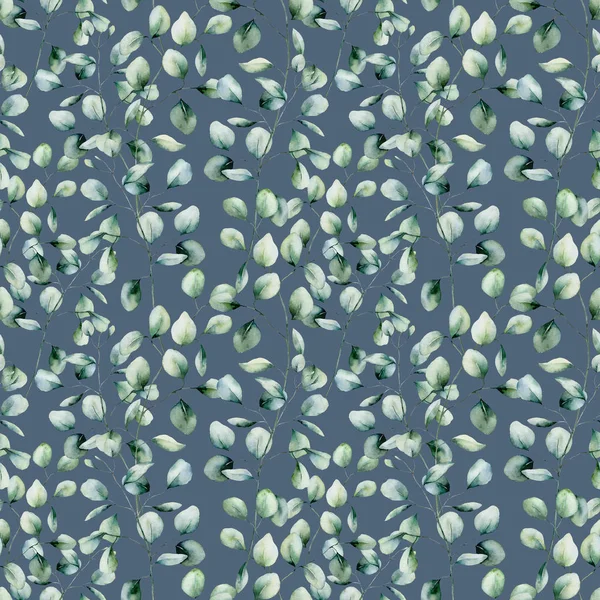 Akvarell eukalyptus sömlösa mönster på Mörkblå bakgrund. Handmålade isolerade silver dollar eukalyptus gren och blad. Blommig illustration för design, skriva ut, tyg eller bakgrund. — Stockfoto
