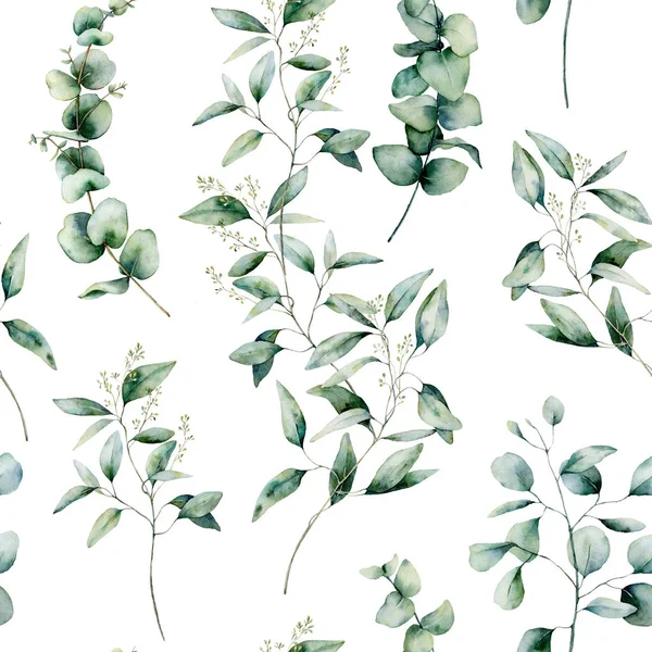 Akvarell olika eucalyptus sömlösa mönster. Handmålade eukalyptus gren och bladen isolerad på vit bakgrund. Blommig illustration för design, skriva ut, tyg eller bakgrund. — Stockfoto