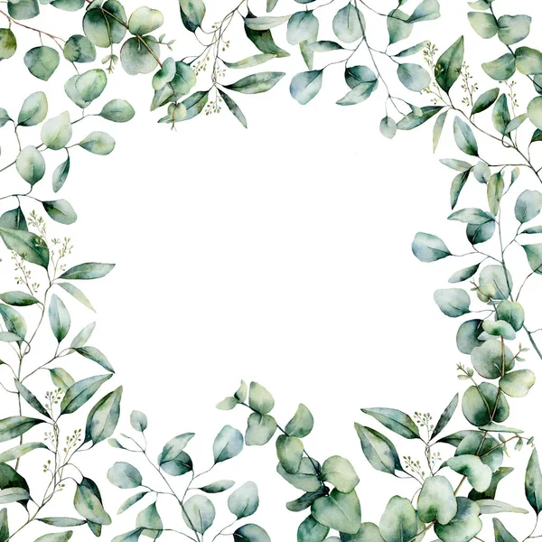 Akwarela Eukaliptus różne kwadrat karty. Ręcznie malowane, eukaliptus gałęzi i liści na białym tle. Ilustracja kwiat kwiatowy dla projektowania, drukowanie, tkaniny lub tła. — Zdjęcie stockowe