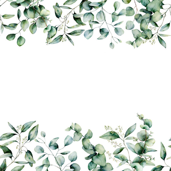 Watercolor different eucalyptus seamless border. Hand painted eucalyptus branch and leaves isolated on white background. Floral illustration for design, print, fabric or background.