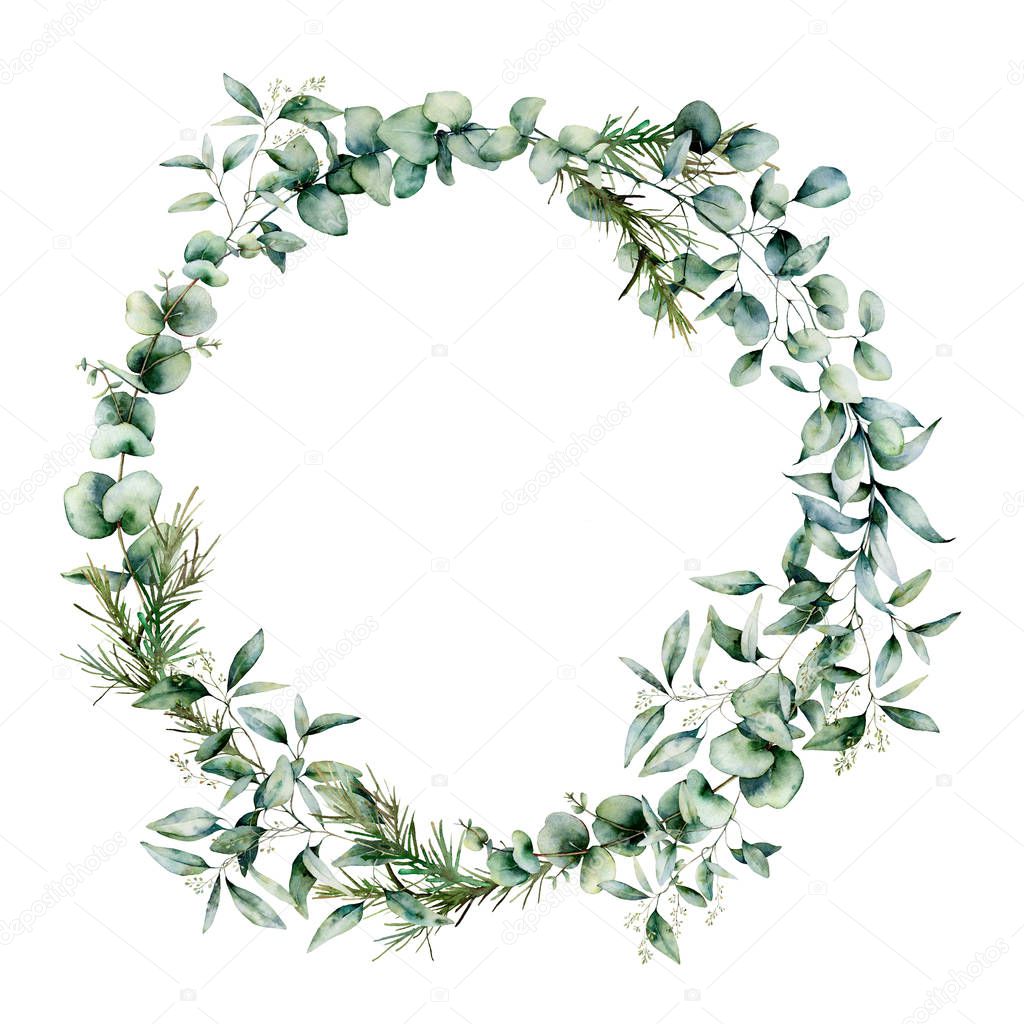 Watercolor different eucalyptus wreath. Hand painted eucalyptus branch and leaves isolated on white background. Floral illustration for design, print, fabric or background.