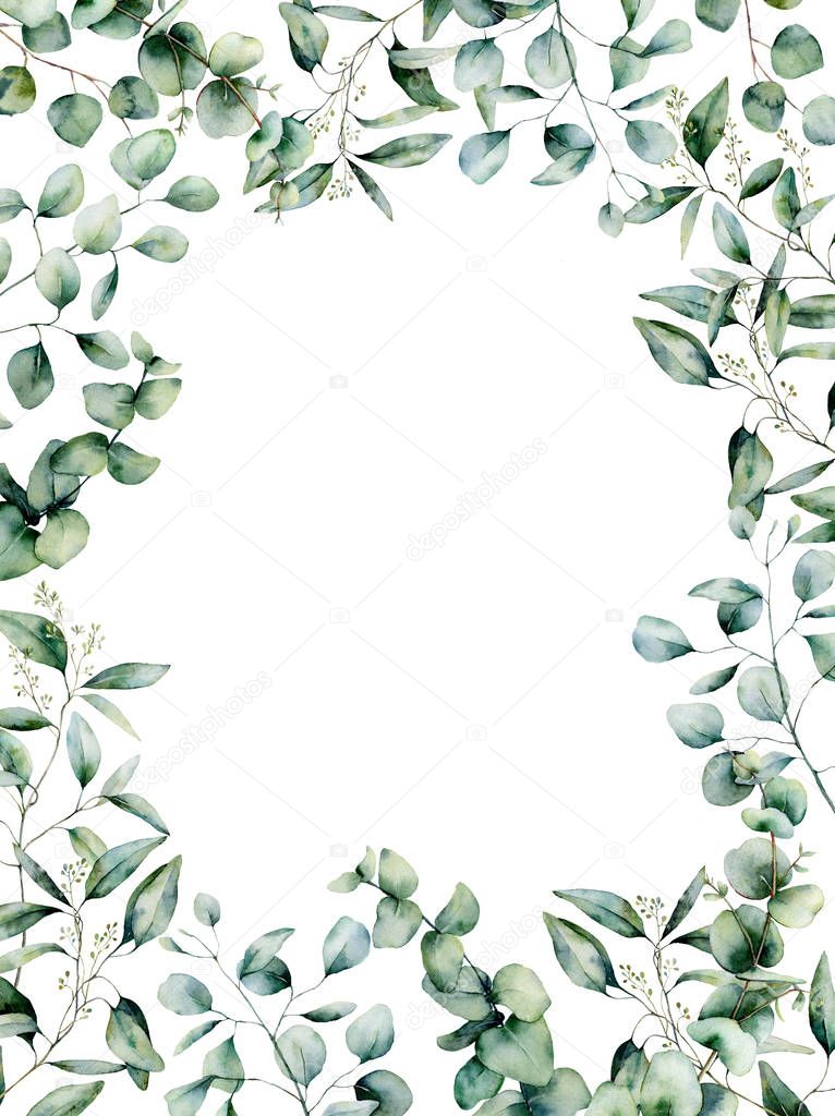 Watercolor different eucalyptus card. Hand painted eucalyptus branch and leaves isolated on white background. Floral illustration for design, print, fabric or background.