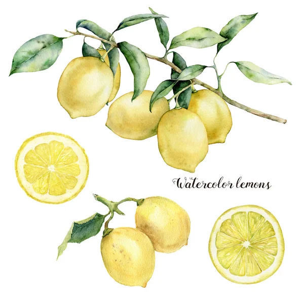 Acquerello ramo di limone, limoni e set di fette. Frutto al limone dipinto a mano su ramo con fetta isolata su fondo bianco. Illustrazione botanica floreale per design, stampa . — Foto Stock