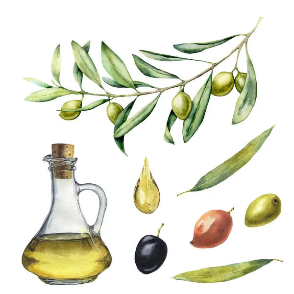Aquarel set met groene olijftak en fles. Handgeschilderde illustratie met olijf bessen, olijfolie en takken met bladeren geïsoleerd op een witte achtergrond. Voor ontwerp-, afdruk- en stof. — Stockfoto
