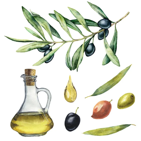 Suluboya Siyah Zeytin dalı ve şişe ile ayarla. El zeytin meyveleri, zeytin yağı ve ağaç dalları ile illüstrasyon izole beyaz arka plan üzerinde yaprakları ile boyalı. Tasarım, baskı ve kumaş için.