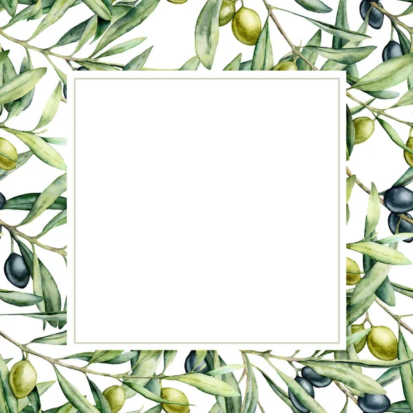 Watercolor olive branch delicate card. Hand painted olives on branch isolated on white background. Floral botanical illustration for design, print. — ストック写真