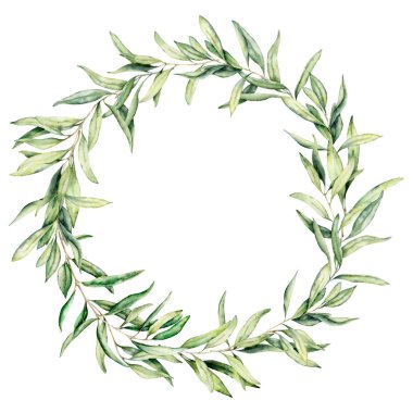 Zeytin yaprakları ile suluboya çelenk. Beyaz arka planda izole yaprakları ile zeytin meyve ve ağaç dalları ile el boyalı çiçek sınırı. Tasarım, baskı ve kumaş için.