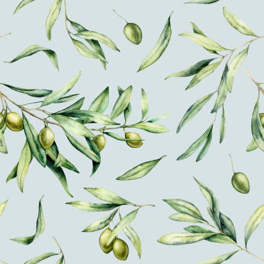 Yeşil zeytin ve yaprakları ile suluboya Dikişsiz desen. El boyalı zeytin ve dalları pastel mavi arka planda izole. Tasarım, baskı, kumaş veya arka plan için botanik illüstrasyon.