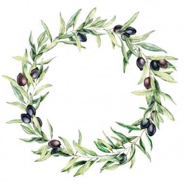 Siyah zeytin çilek ve yaprakları ile suluboya çelenk. El boyalı çiçek sınırı ile zeytin meyvesi ve ağaç dalları ile yaprakları izole beyaz arka plan. Tasarım, baskı ve kumaş için.