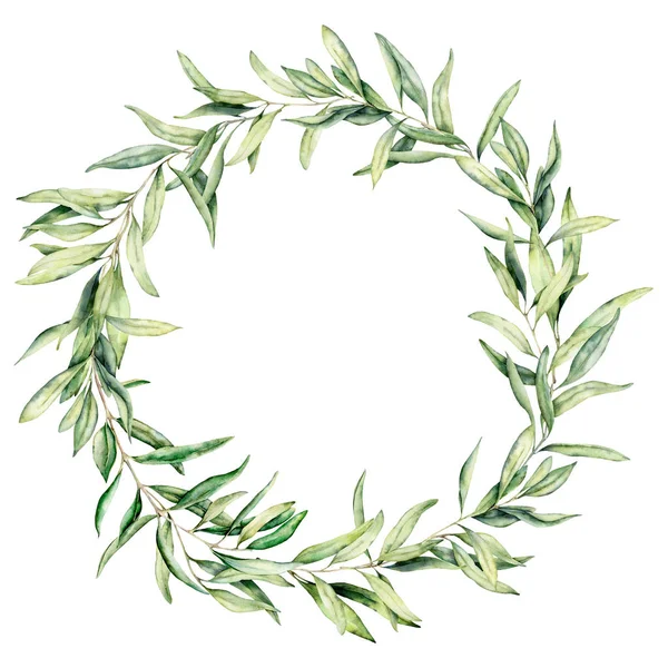 Zeytin yaprakları ile suluboya çelenk. Beyaz arka planda izole yaprakları ile zeytin meyve ve ağaç dalları ile el boyalı çiçek sınırı. Tasarım, baskı ve kumaş için.