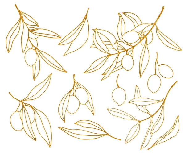 Croquis aquarelle avec olive, branche et feuilles avec texture dorée. Set floral peint à la main. Illustration isolée sur fond blanc pour design, impression, tissu ou fond . — Photo