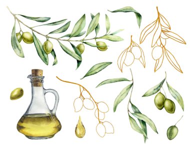 Suluboya ve altın kroki zeytin, zeytin ve yağ ile şişe ile ayarlayın. Çilek ve beyaz arka plan üzerinde izole yaprakları ile el boyalı illüstrasyon. Tasarım, baskı ve kumaş için.