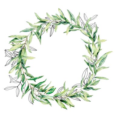 Suluboya ve zeytin çileği ve yapraklı çizim çelengi. Elle boyanmış zeytin meyveleri ve yaprakları beyaz arkaplanda olan ağaç dalları. Tasarım, baskı ve kumaş için.