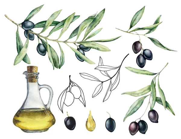 Watercolor and sketch set with olive, branch and bottle with oil. Hand painted illustration with olive berries and tree branches with leaves isolated on white background. For design, print and fabric.