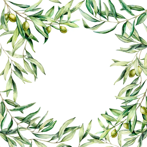 Bordure aquarelle avec branche d'olivier et baies. Carte peinte à la main avec des olives vertes isolées sur fond blanc. Illustration botanique florale pour la conception, imprimer — Photo