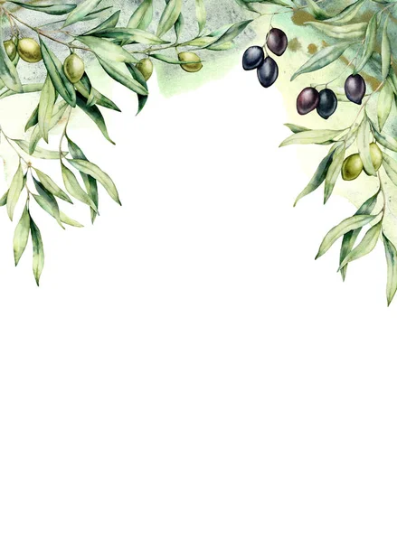 Akvarell kártya olajfa ágak, zöld és fekete bogyók. Kézzel festett szegély olajbogyó, levelek elszigetelt fehér háttér. Virágos botanikai illusztráció tervezés, nyomtatás. — Stock Fotó