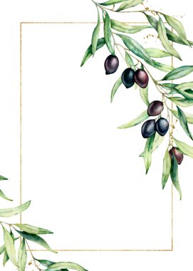 Zeytin ağacı dalı ve altın çerçeveli suluboya kartı. El boyalı çiçek illüstrasyon beyaz arka plan üzerinde izole. Tasarım için botanik tebrik şablonu.