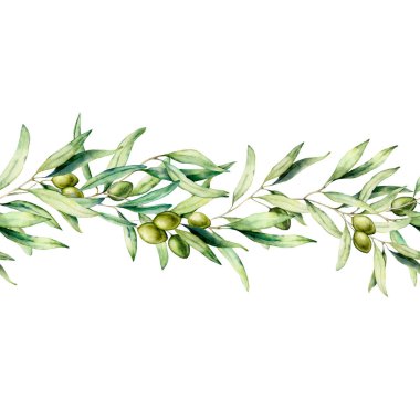 Zeytin ağacı dalı, yeşil zeytin ve yaprakları ile suluboya dikişsiz sınır. El boyalı çiçek illüstrasyon beyaz arka plan üzerinde izole. Tasarım veya baskı için Botanik afiş. Yeşil bitkiler.