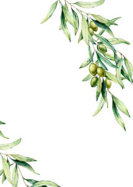 Watercolor card with olive tree branch, green olives and leaves. Hand painted floral illustration isolated on white background. Botanical illustration for design, print. Greeting template for design.