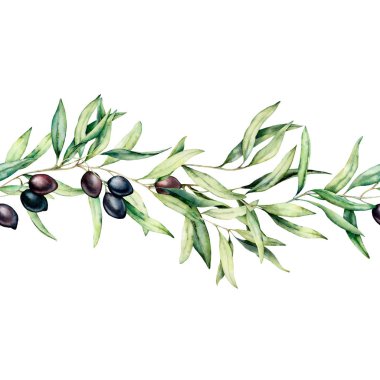 Siyah zeytin, yaprak ve dal ile suluboya dikişsiz sınır. El boyalı çiçek illüstrasyon beyaz arka plan üzerinde izole. Tasarım veya baskı için Botanik afiş. Yeşil bitkiler.