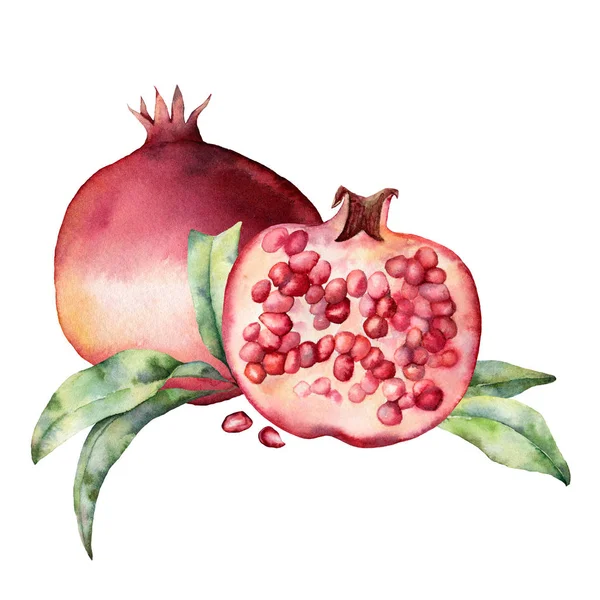 Aquarel kaart met granaatappel, bladeren en bessen. Handgeschilderde botanische illustratie fruit geïsoleerd op witte achtergrond. Floral elegante illustratie voorontwerp, afdrukken, stof of achtergrond. — Stockfoto