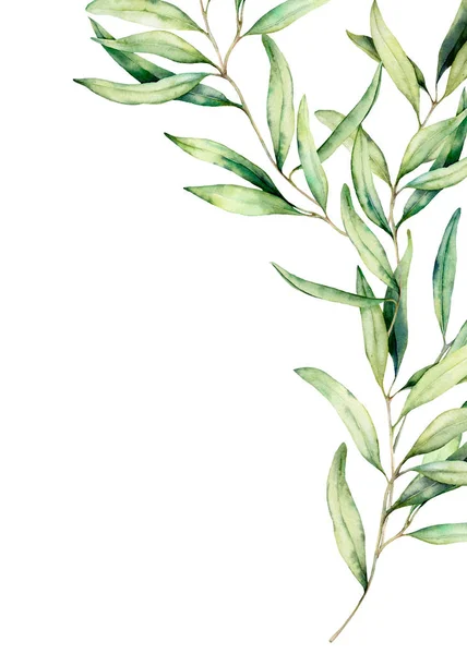 Watercolor olive branch card with leaves. Hand painted floral illustration isolated on white background for design, print, fabric or background. — Stock Photo, Image