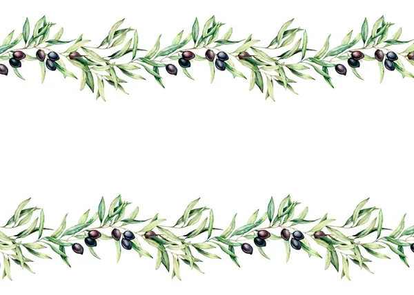 水彩无缝边框与黑色橄榄，树枝和叶子。手绘花卉插图隔离在白色背景上。用于设计或打印的植物横幅。绿色植物. — 图库照片