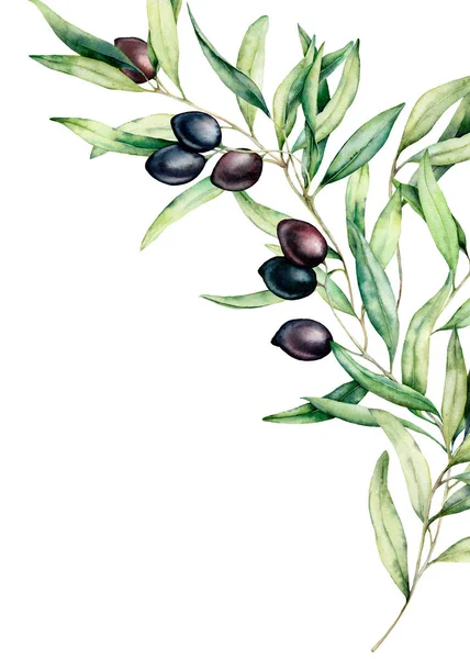 Tarjeta de rama de olivo acuarela con aceitunas negras, hojas. Ilustración floral pintada a mano aislada sobre fondo blanco para diseño, impresión, tela o fondo . — Foto de Stock