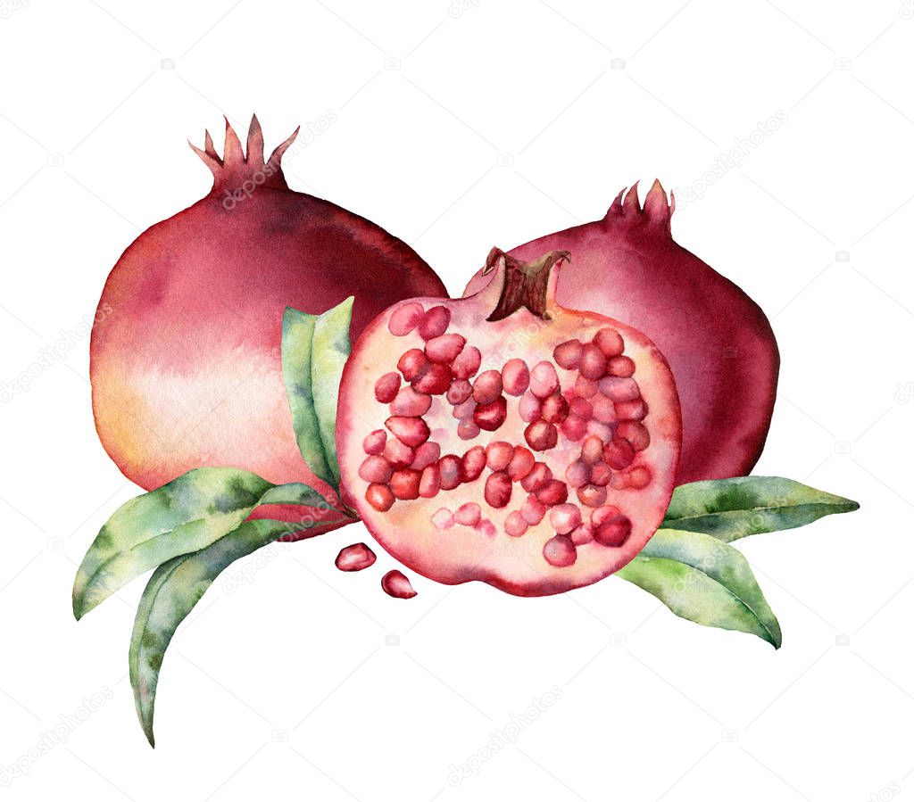 Watercolor card with pomegranate, berries and leaves. Hand painted botanical illustration fruit isolated on white background. Floral elegant illustration for design, print, fabric or background.