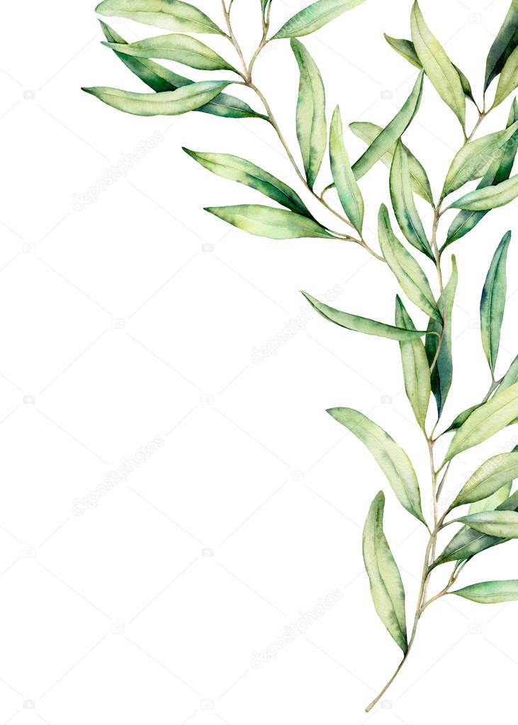 Watercolor olive branch card with leaves. Hand painted floral illustration isolated on white background for design, print, fabric or background.