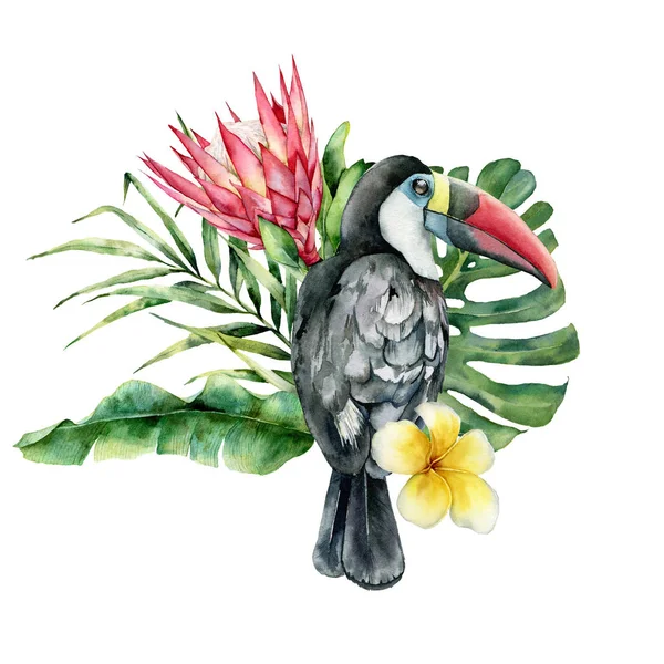 Akvarell kort med Toucan och blommor bukett. Handmålad fågel, Protea och Plumeria isolerad på vit bakgrund. Nature Botanical illustration för design, tryck. Realistisk delikat växt. — Stockfoto