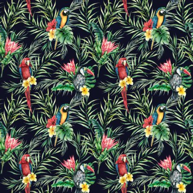 Suluboya toucan ve papağan dikişsiz desen. Kuş, protea ve palmiye yaprakları siyah arka plan üzerinde izole ile el boyalı illüstrasyon. Tasarım, baskı, kumaş, arka plan için yaban hayatı illüstrasyon.