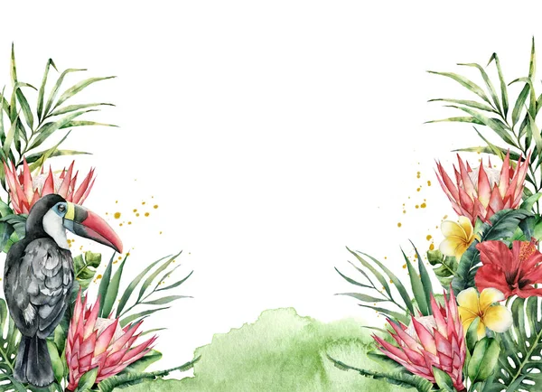 Aquarela flores tropicais e banner tucano. Pássaro pintado à mão, protea, hibisco e plumeria isolados sobre fundo branco. Natureza ilustração botânica para design, impressão. Planta delicada realista . — Fotografia de Stock