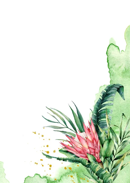 Aquarellkarte mit einem Strauß Protea. handgezeichnetes florales Etikett auf weißem Hintergrund. botanische Illustration. Grußschablone für Design. — Stockfoto