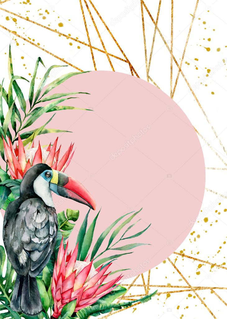 Watercolor tropical toucan and protea card. Hand painted bird and flowers isolated on white background. Nature botanical illustration for design, print. Realistic delicate plant.
