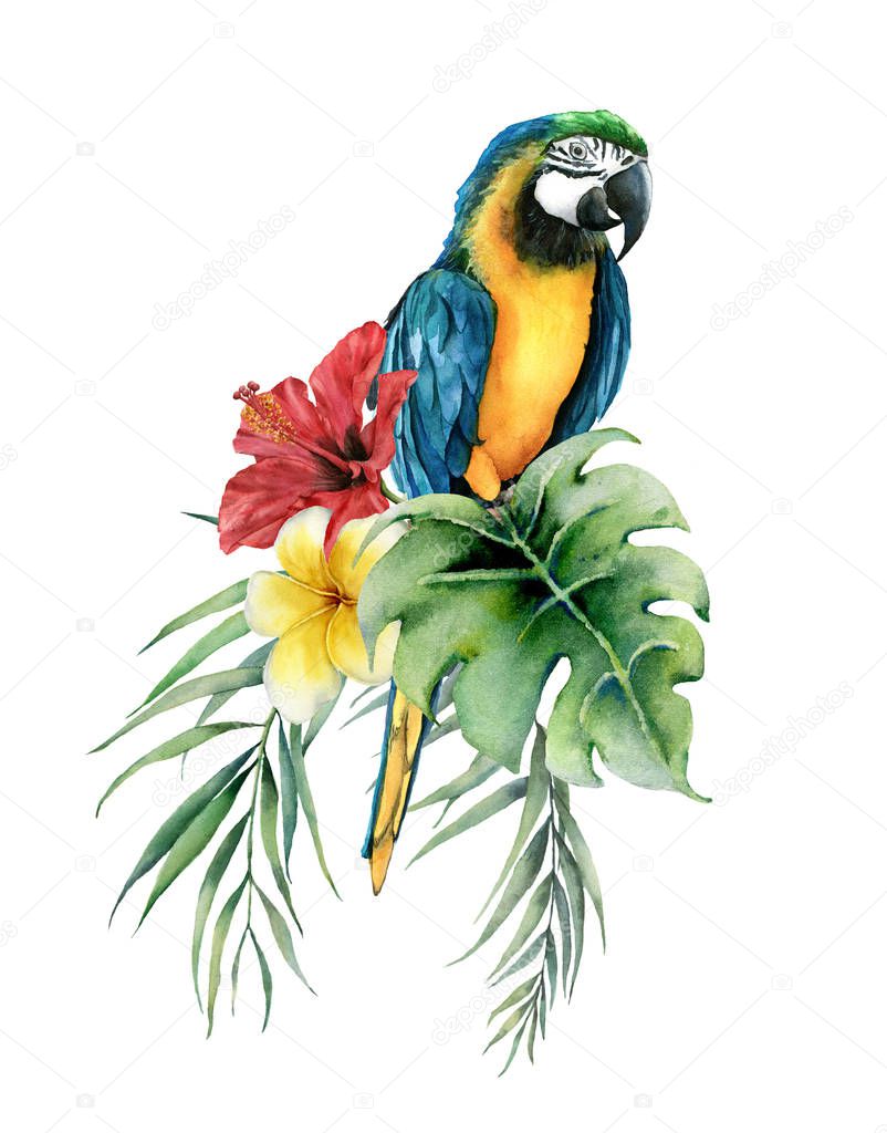 Watercolor tropical card with parrot and flowers bouquet. Hand drawn plumeria and hibiscus. Floral label isolated on white background. Botanical illustration. Greeting template for design.