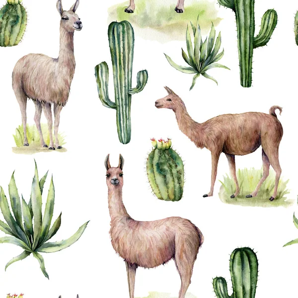 Aquarel naadloze patroon met Lama en woestijn cacti. Handgeschilderde traition botanische illustratie met dier en bloemen op witte achtergrond. Voorontwerp, print, stof of achtergrond. — Stockfoto