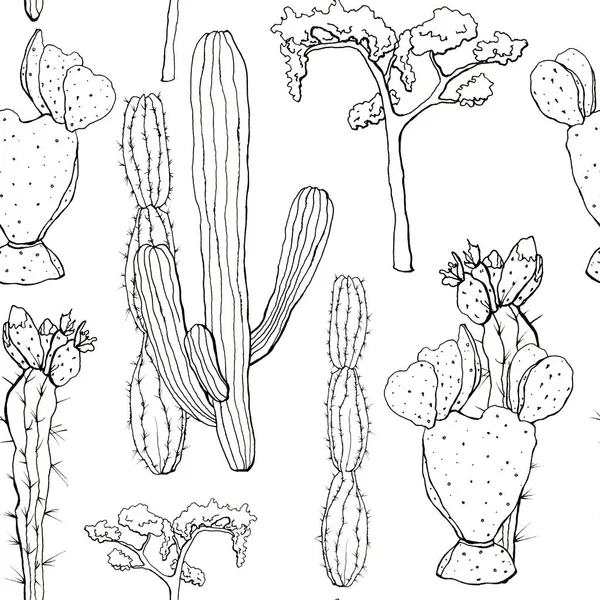 Dibuje el patrón sin costuras con cactus mexicanos y árbol. Cactus del desierto floral pintado a mano. Ilustración botánica aislada sobre fondo blanco para diseño, impresión, tela o fondo . —  Fotos de Stock