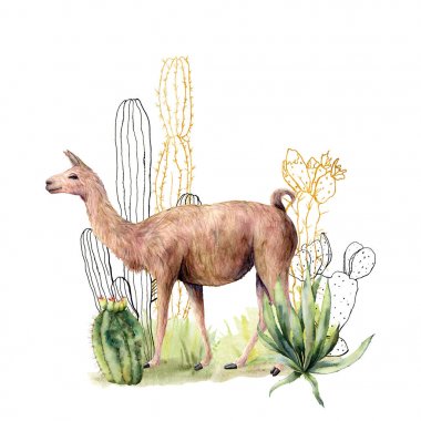 Watercolor and sketch card with llama and cacti. Hand painted floral collection with desert cacti, agava and lama. Illustration isolated on white background for design, print, fabric or background.