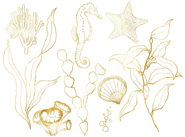 Goldene Skizze unter Wasser gesetzt. Handbemaltes Seepferdchen, Laminarien, Seesterne und Muscheln isoliert auf weißem Hintergrund. Aquatic Line Art Illustration für Design, Druck oder Hintergrund. — Stockfoto