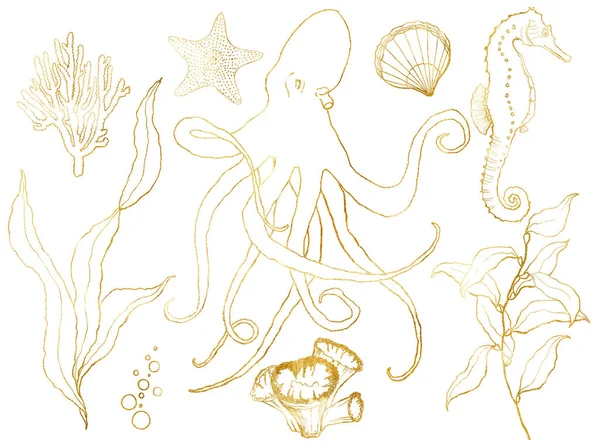 水中野生動物とセットゴールデンスケッチ。手描きのタコ、シーホース、ラミネアリア、ヒトデ、貝類が白い背景に隔離されています。デザイン、印刷または背景のための水生ラインアートイラスト. — ストック写真