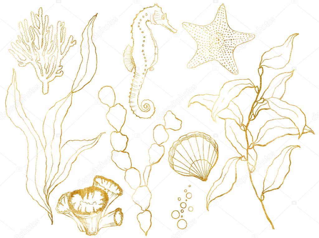 Golden sketch underwater set. Hand painted seahorse, laminaria, starfish and shell isolated on white background. Aquatic line art illustration for design, print or background