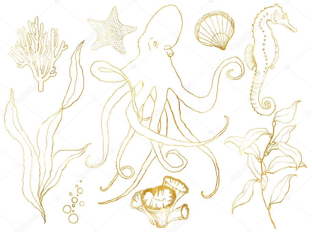 Golden sketch set with underwater wildlife. Hand painted octopus, seahorse, laminaria, starfish and shell isolated on white background. Aquatic line art illustration for design, print or background