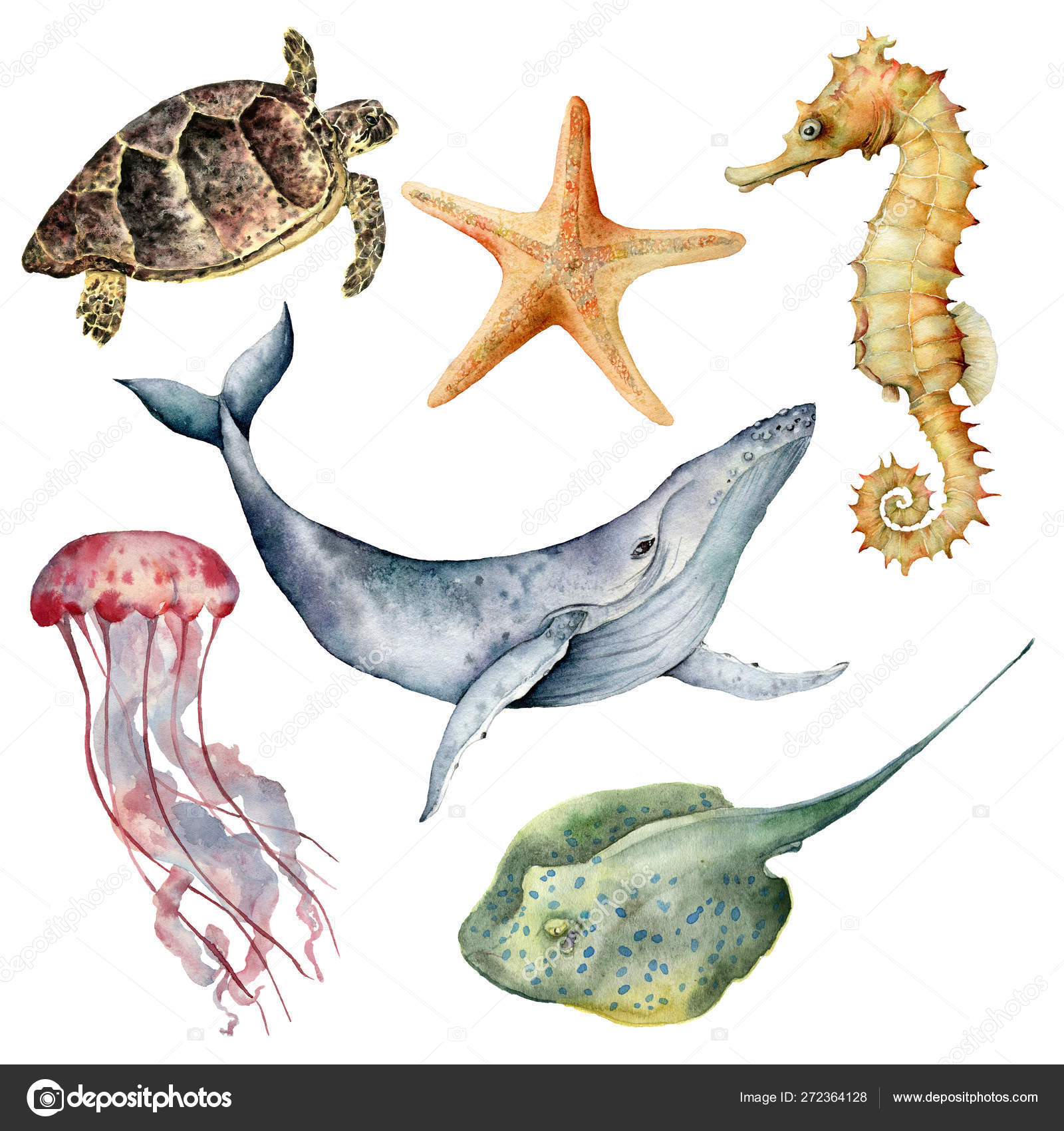 Watercolor underwater animals set. Hand painted whale, starfish, seahorse,  stingray, jellyfish and turtle isolated on white background. Aquatic  illustration for design, print or background. Stock Photo by ©Derbisheva  272364128