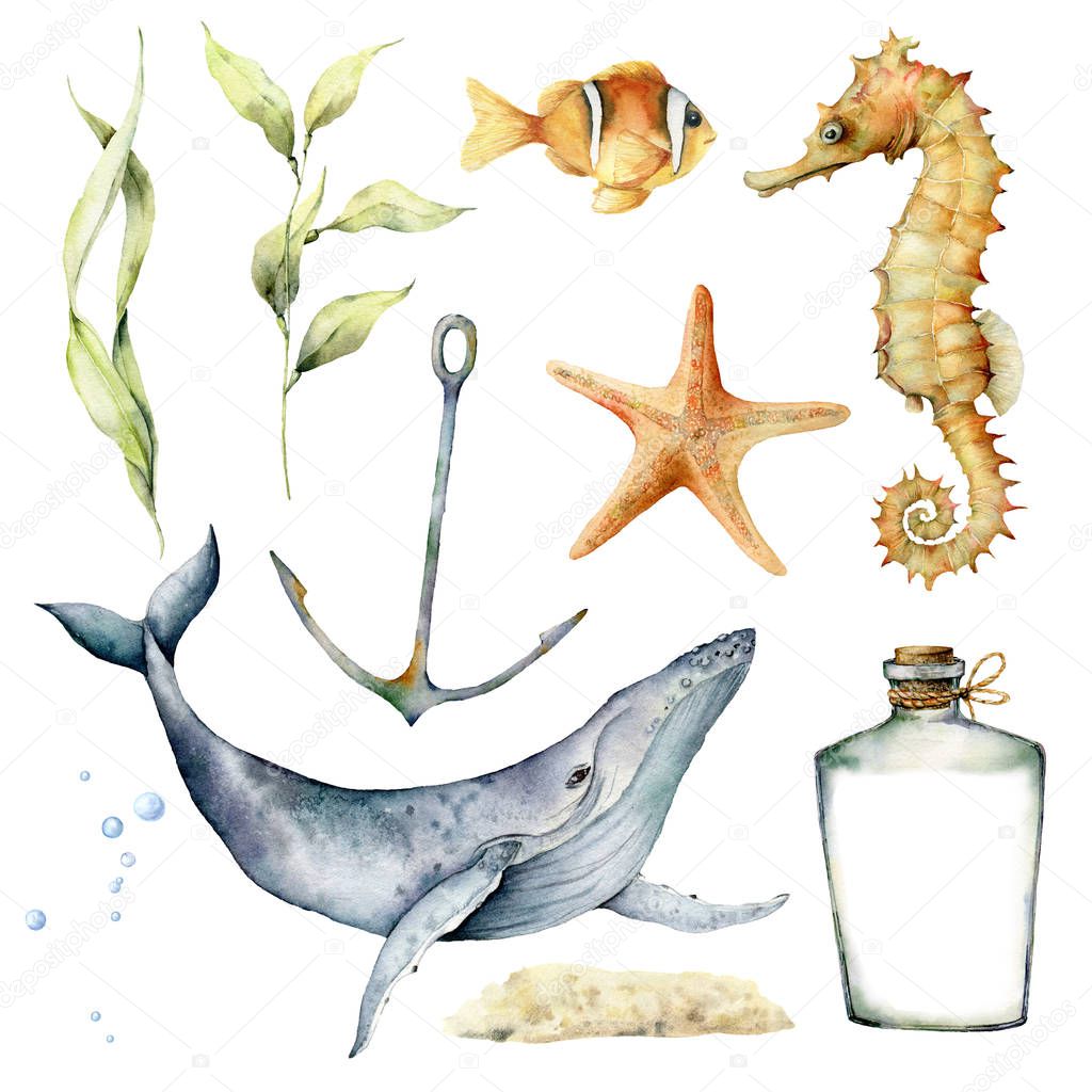 Watercolor underwater set. Hand painted whale, laminaria, anchor, starfish, seahorse and bottle isolated on white background. Aquatic illustration for design, print or background.